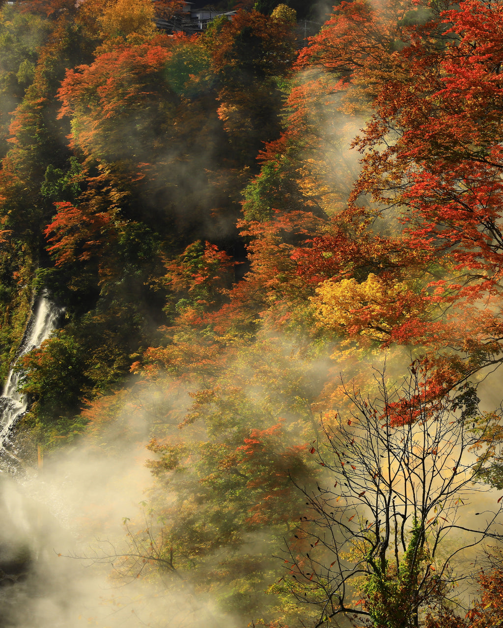 Surviving Pollen Season: The Power of Air Purifiers