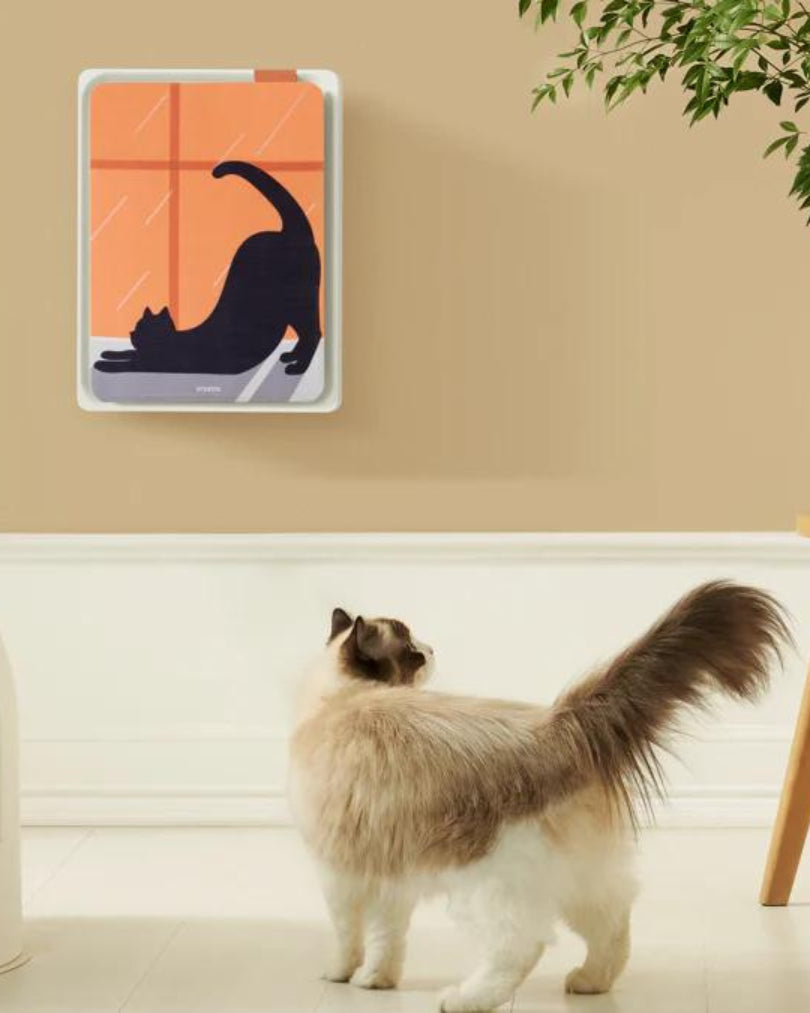 Air Purifiers and Pet Owners: A Match Made in Clean Air Heaven