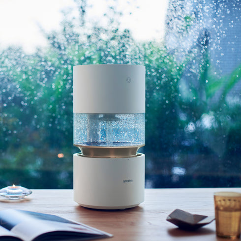 Rainforest Humidifier