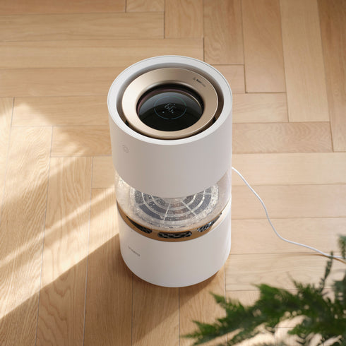 Rainforest Humidifier