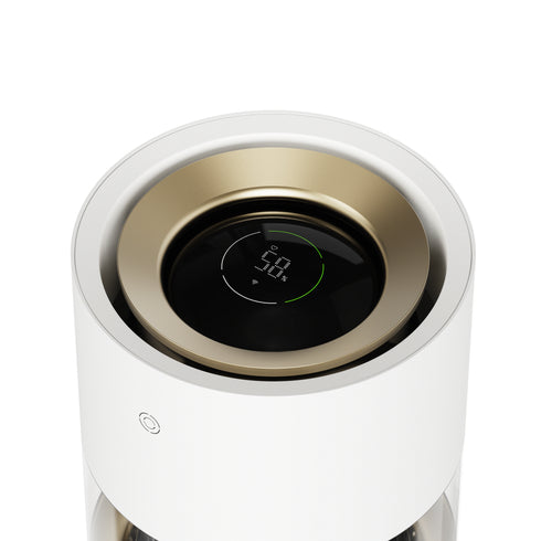 Rainforest Humidifier