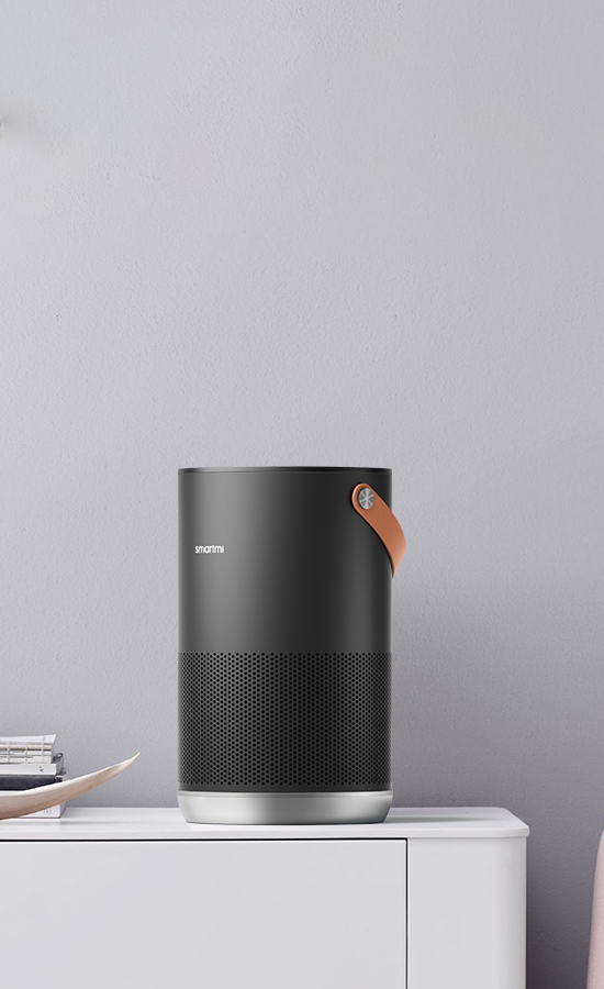 Smartmi Air Purifier P1: Featuring True HEPA filter, auto-detects and removes pollutants, ensuring cleaner air in medium to large rooms.